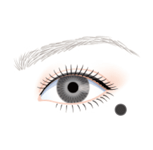 illust_line02